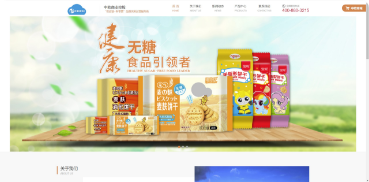 深圳市中欧商业控股有限公司
